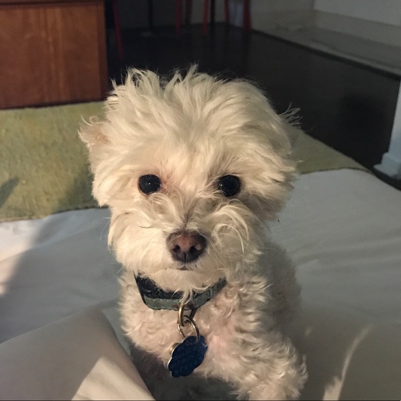 Meet your Posher, Amanda - Picture 1 of 1